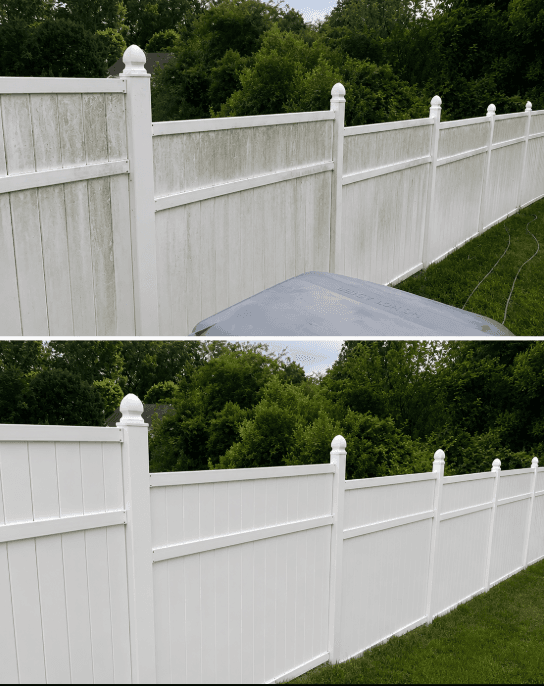 White vinyl privacy fence before and after cleaning, algae-streaked on top and bright white below
